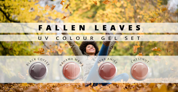 Nails and Beauty Factory Color Gel Set Fallen Leaves